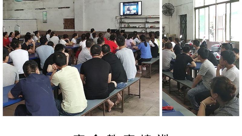 教师资格证协议班，揭秘其背后的服务内涵